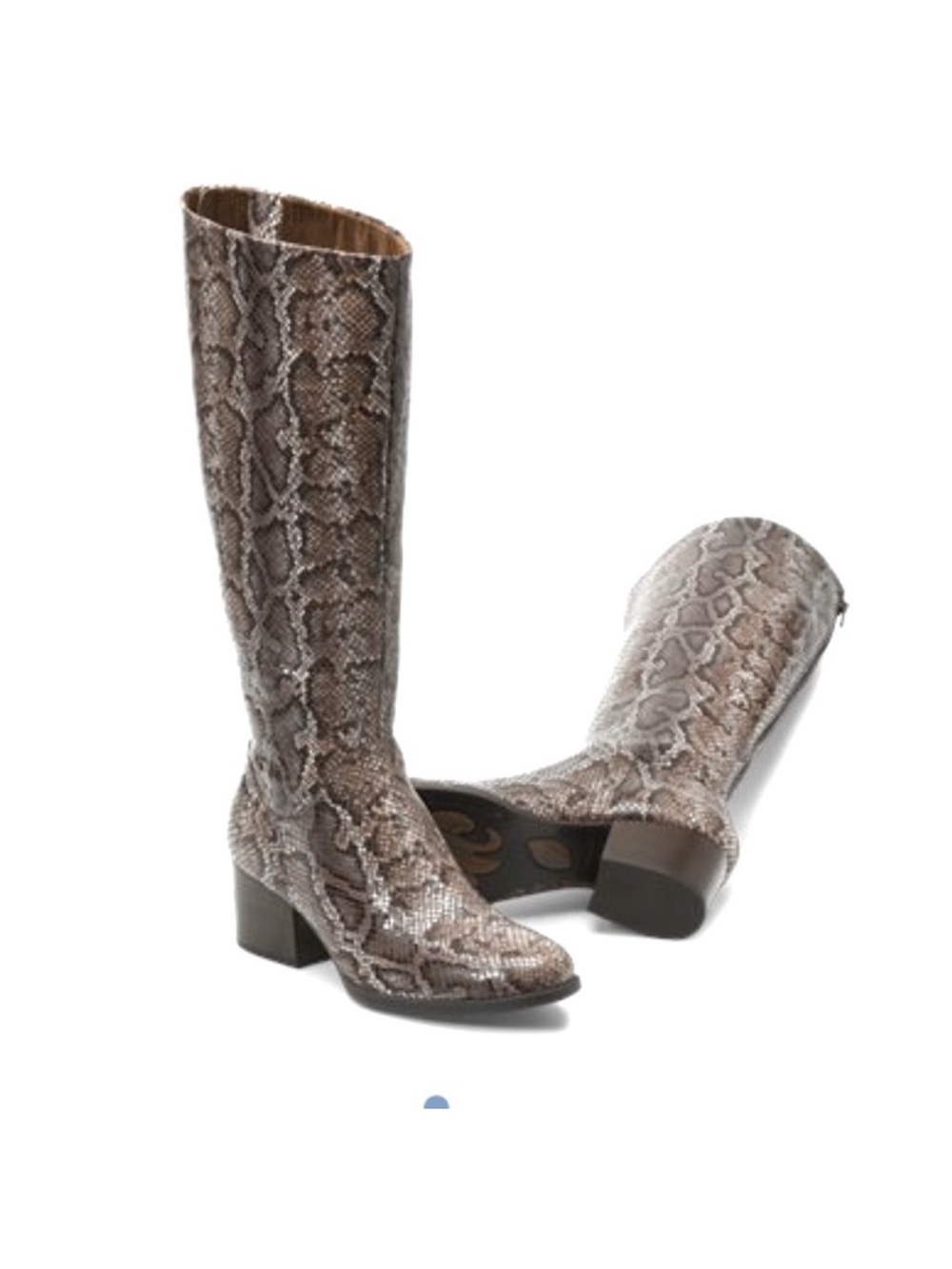 Born “Adriana” Python tall boot